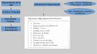 Alteraciones Pigmentarias: Un Estudio Detallado de las Causas, Tratamientos y Prevención