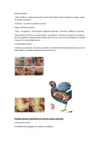 Sistema linfático e enfermidades de aves
