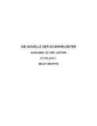Aufgaben und Charakterisierung zu dem Buch Der Schimmelreiter
