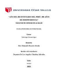MAPA FODA REPRESENTADO EN UN PDF WORD
