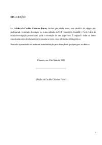 Estágio em Contabilidade: Análise da CCF - Consultório Contábil e Fiscal, Lda.