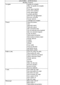 Osteologia animal com nomes de todos os componentes