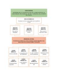 Deterioração da Qualidade de Vida em Comunidades de Ayabacas, Mucra e Chingora, Juliaca