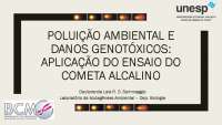 Poluição ambiental e ensaio do cometa