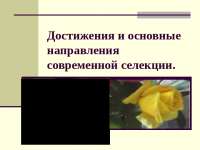 Реферат На Тему Достижения Современной Селекции Реферат На Тему Достижения Современной Селекции