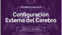 Anatomía del Cerebro: Estructura y Funciones