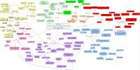 Tuberculosis Concept Map