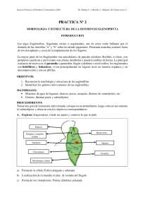 criptogamas practica 2