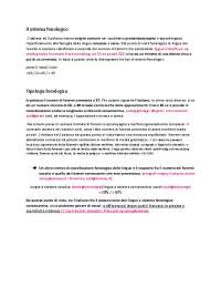 Gramatyka opisowa języka włoskiego - fonologia
