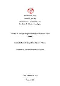 Estudo do campo Palanca