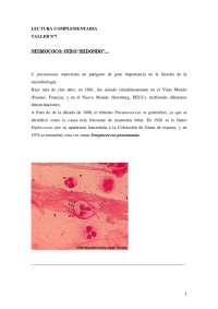 Neumococo: Un Patógeno Importante en Microbiología