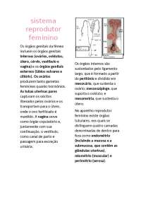 Resumo sistema reprodutor