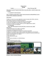 Taller  de Biologia Final