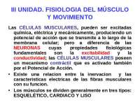 Sistema muscular, descripción y funciones