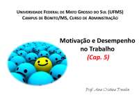 Motivação e Desempenho no Trabalho: Expectativa, Necessidades, Aprendizagem e Autoeficácia
