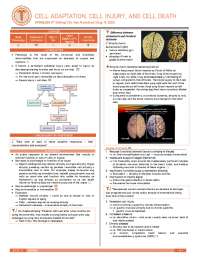 Chapter 1 Rubbins Cellular Adaptation