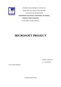 Microsoft Project - Docsity