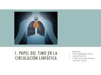 Papel del Timo en la Circulación Linfática: Funciones y Desarrollo - Prof. Cevallos Matos