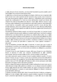 Biologia delle Alghe: Struttura, Classificazione e Ruolo Ecologico - Prof. Cozza