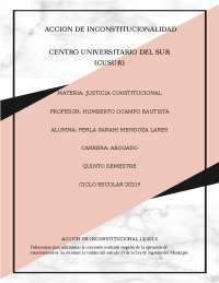 Análisis de la inconstitucionalidad en concesión de estacionamientos en Cuautla (2013)