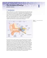 The mechanics of hearing: The middle ear