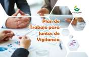 Plan de Trabajo para Juntas de Vigilancia: Funciones, Requisitos y Control en Cooperativas