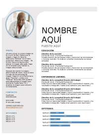 Curriculum Vitae - Example of it