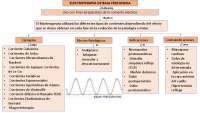 Electroterapia de baja frecuencia