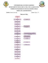 Diagrama de flujo Tocino Ahumado