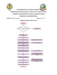 Diagrama de flujo- Jamón serrano