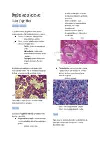 Órgãos associados ao sistema digestório - Histologia