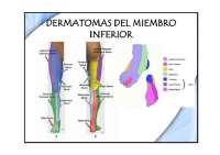 Sociologia deportiva