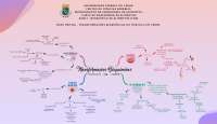 Mapa Mental - Transformações bioquímicas