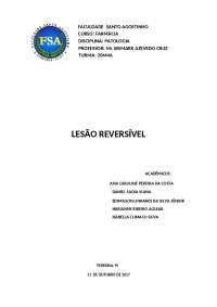 Degenerações Patológicas: Hidrópica, Esteatose, Lipidose, Hialina, Mucóide, Glicogenose e 