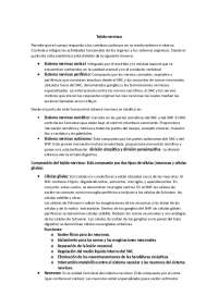 Anatomía del Sistema Nervioso: Funciones, Estructura y Células