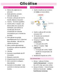 Resumos Glicólise - Bioquímica