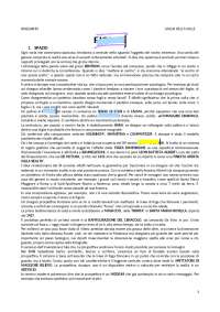 RIASSUNTO FIGURE FALCINELLI