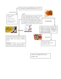 Riboflavina E-101: Propiedades, Origen y Aplicaciones