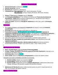 Sistema respiratorio embrionario (Arteaga)
