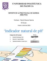 practica del Indicador natural del Ph