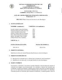 Técnica de tinción de corte histológicos