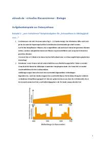 Aufgabenbeispiele zur Fotosynthese
