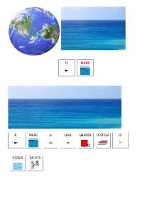 CAA IL MARE TESTO