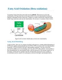 Fatty Acid Oxidation | Study Guides, Projects, Research Biochemistry ...