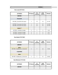 Plan Diario LPS - Gestión en construcción