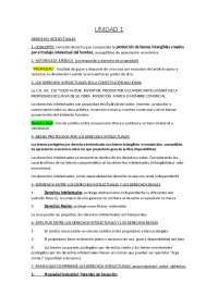 Derechos Intelectuales e informáticos