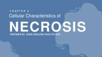 Cellular Characteristics of Necrosis