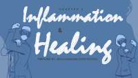 Inflammation and Healing
