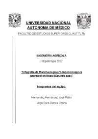 Epidemiología de Pseudocercospora opuntiae