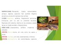 Aves, aracnidos, anfibios.........